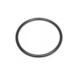 Audi A3 TDi 2003- Thermostat Seal