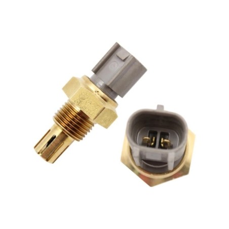 Toyota Quantum 2.5 D4-D 2005- Air Intake Temperature Sensor 2 PIN