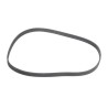 VW Golf IV Jetta IV V-Belt Ribbed