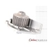 MG Rover 135 18KYK 01 on Water Pump