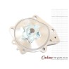 MG Rover 135 18KYK 01 on Water Pump