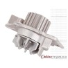 Peugeot 406 Series 2.0 HDi DW10ATED 02-04 Water Pump