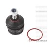 Fiat Uno 1000 CENTO 1100 FIRE 1200 1400 TD TURBO PACER 90-08 Lower Ball Joint