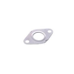VW Golf IV TDi 99-04 EGR Valve Gasket