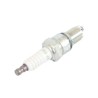 Chrysler GRAND VOYAGER 3.3i Spark Plug 2001- (Eng. Code EGA) NGK - BPR5EY