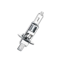 H1 24V 55W Car Headlight Front Fog Light Halogen Bulb