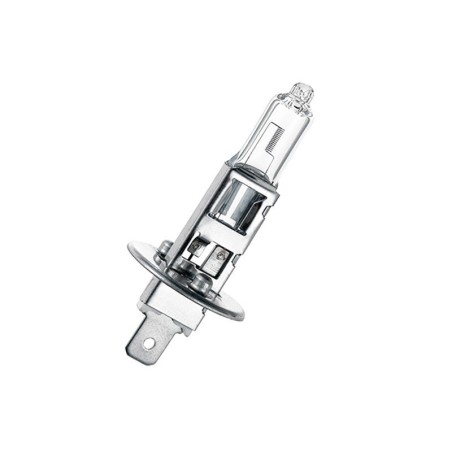 H1 24V 55W Car Headlight Front Fog Light Halogen Bulb
