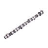 Mitsubishi L300 2.5D 4D56 97- Camshaft