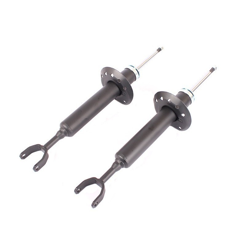 VW Passat 1.8T 20V 99-05 1.9 TDI AVB 02-05 2.8 V6 99-05 (Excl. Quattro Models) Front Shocks