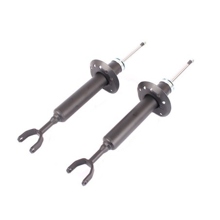 VW Passat 1.8T 20V 99-05 1.9 TDI AVB 02-05 2.8 V6 99-05 (Excl. Quattro Models) Front Shocks