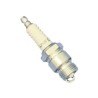 Ford SIERRA 2.0 GL, LX Spark Plug 1983-1993 (Eng. Code KOLN) NGK - AP6FS