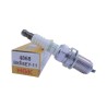 Nissan PRIMERA 2.0 Si , GSi , STi Spark Plug 1998- (Eng. Code SR20DE) NGK - BKR6EY-11